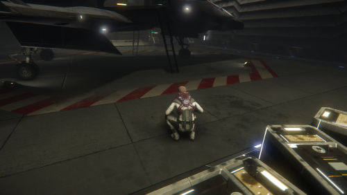 StarCitizen 2013-08-30 16-48-55-84.png