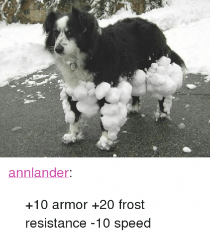 +10 armor +20 frost resistance -10 speed.png