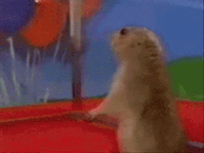 ezgif-6e4c9712c139b6.gif.bf3d37d8dec714a96a65ecdfbe4a7258.gif